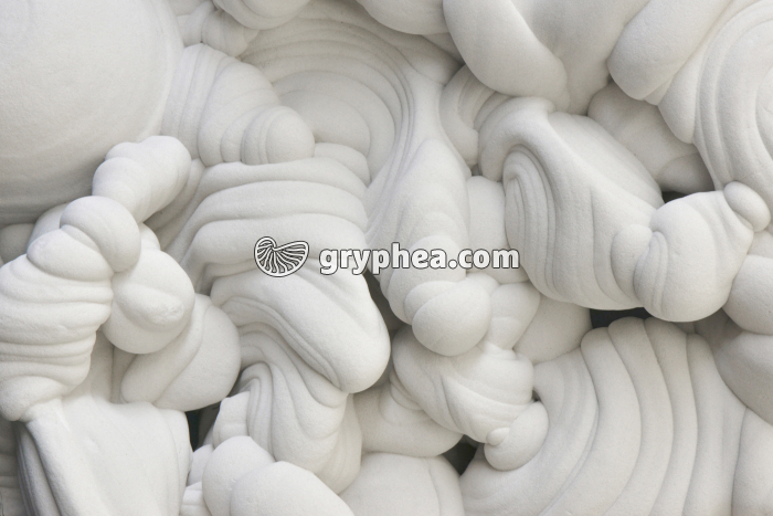 Gogotte (détail) - gryphea.org